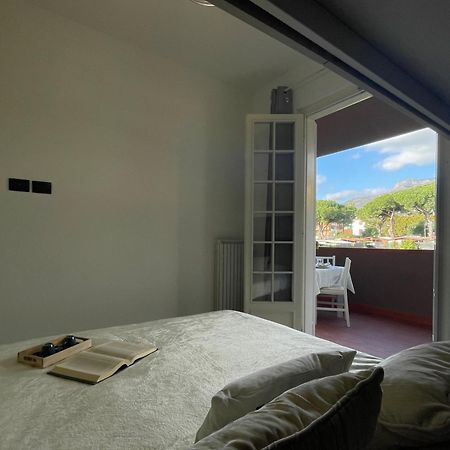 Il Gabbiano Bilocale Con Piscina, Garage E A/C. Lejlighed Loano Eksteriør billede